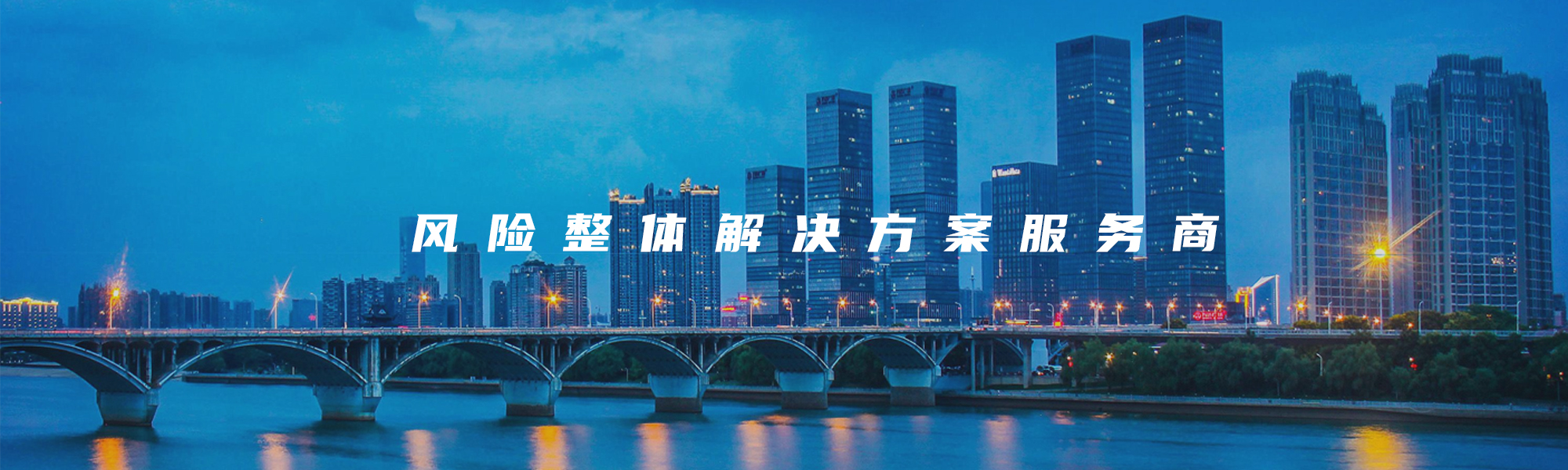 风险整体解决方案服务商